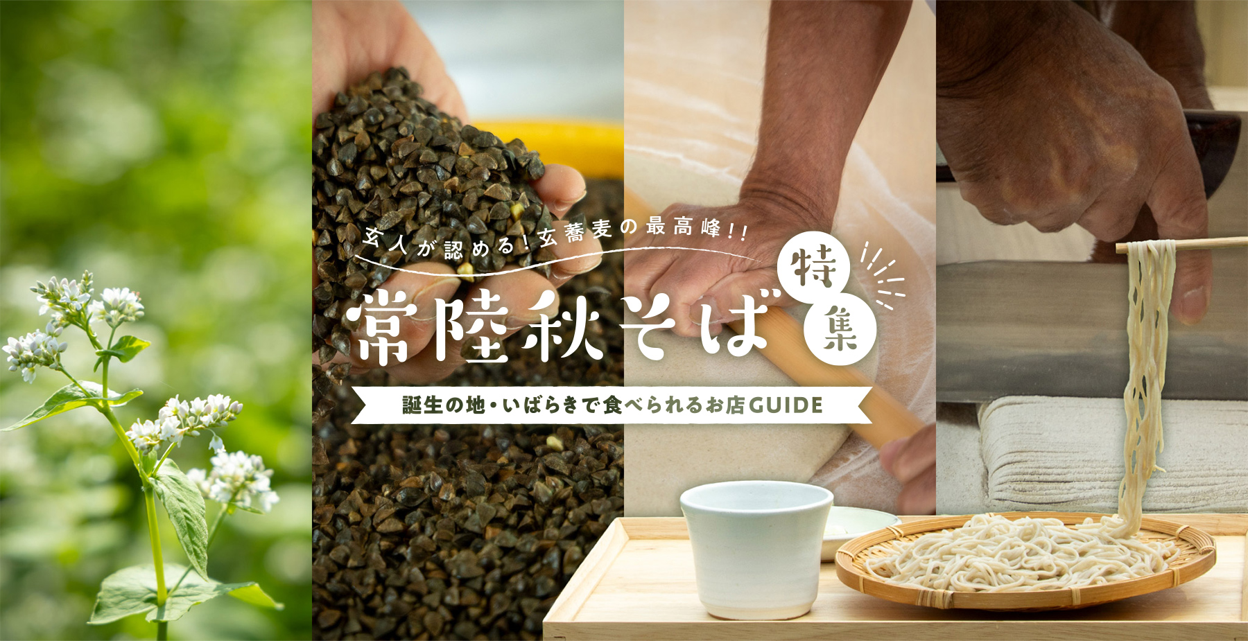 茨城の常陸秋そば特集