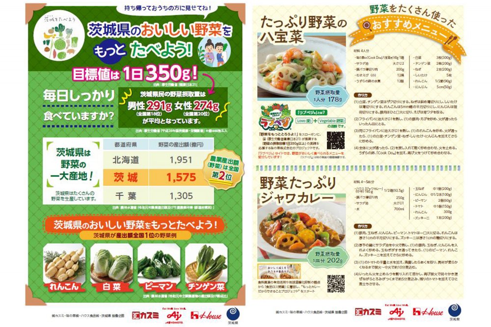 ▲“茨城県民の野菜摂取不足の現状”と“一日の野菜摂取目標”についてのチラシ