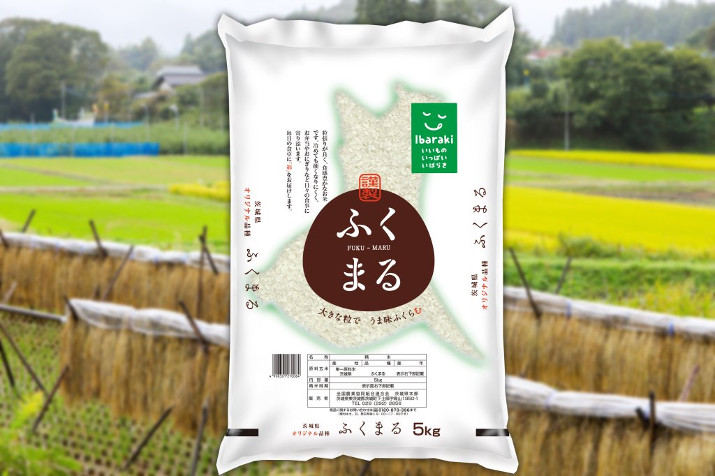 第480回プレゼント企画　茨城県オリジナル品種のお米【ふくまる】