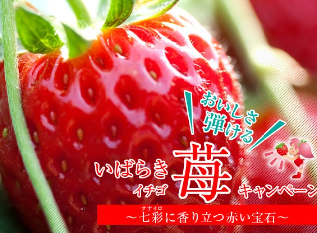 おいしさ弾ける「いばらき苺」キャンペーンイメージ画像