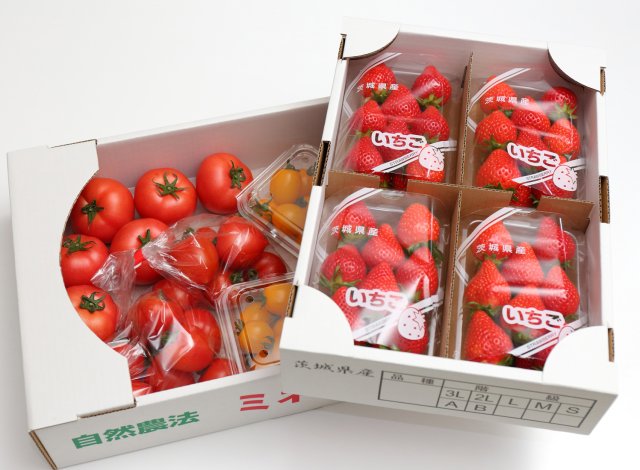 柳田農園のトマトとイチゴ