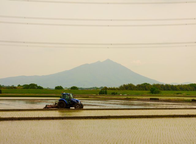 米生産風景　代掻き