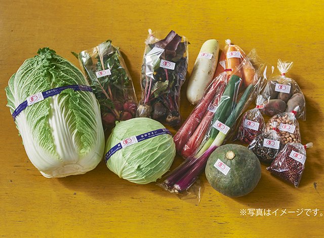 こだわりの茨城県産有機野菜セット