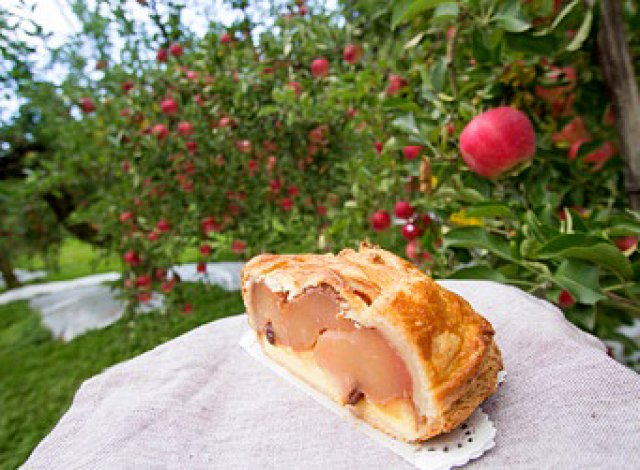 藤田観光りんご園内とアップルパイ