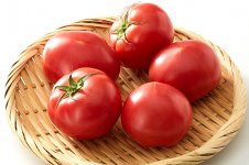 いばらきの農林水産物 トマト