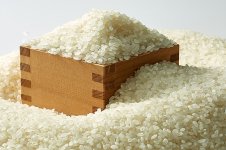 いばらきの農林水産物 米