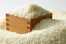いばらきの農林水産物 米