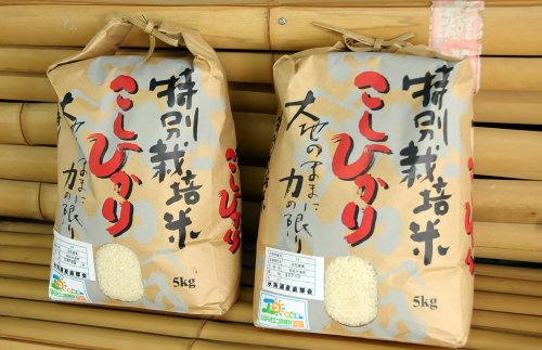特別栽培米のお米