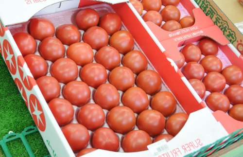 スーパーフルーツトマト|夏の一時期以外周年あります。