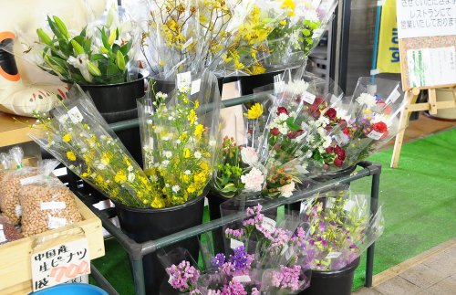 生花コーナー|色とりどりの花コーナー