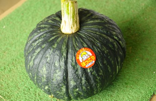 かぼちゃ　5月～12月|特にホクホクした食味がおいしい栗味タイプのカボチャで、甘みが強い「ほっこり」を有機栽培し、
有機栽培ならではの濃厚なおいしさが自慢です。