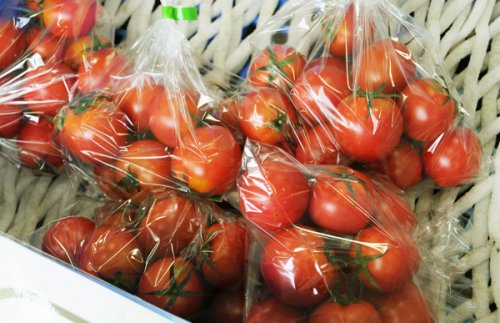 トマト|いろいろな品種のトマトを販売しています。