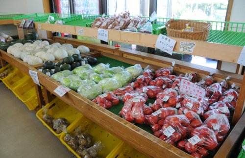稲敷市産の新鮮野菜　（通年）