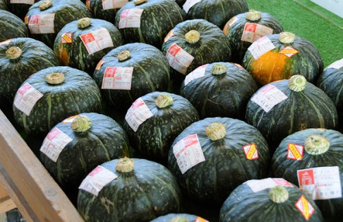 茂宮かぼちゃ|日立市地域ブランドのかぼちゃ
独特の甘みとホクホクとした食感が評判