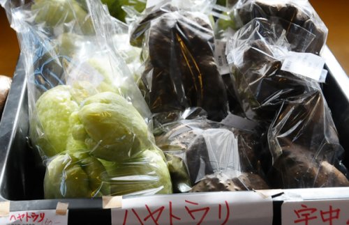 季節の野菜|土日限定で新鮮な野菜も販売しています。