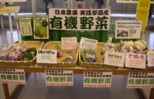 有機野菜|有機農産物認証（ＪＡＳ認証：認定番号０３－００４）圃場で栽培した野菜を販売しています。