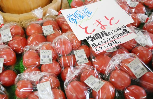 人気を二分する学園産トマト