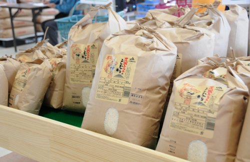取手産の米各種