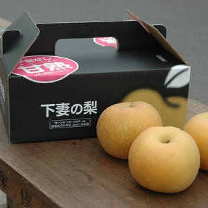 【8/21（日）～】茨城県内のイオンで下妻甘熟梨を販売します！