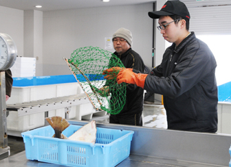 磯崎漁業協同組合 優良衛生品質管理市場認定
