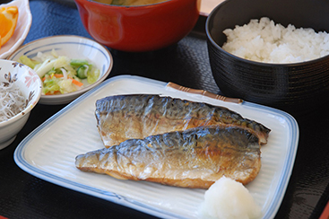 絶妙な脂の乗りと身の締り 茨城常磐の「マサバ」 大津漁協直営　市場食堂