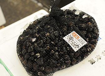 水戸市公設地方卸売市場 茨城の魚「常磐もの(じょうばんもの)」の魅力