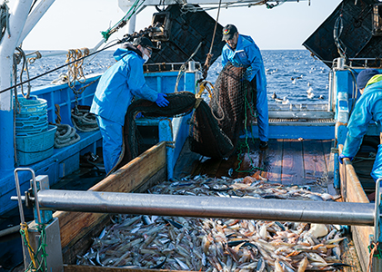 甲板に広がる大量の漁獲物